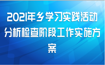 2021年乡学习实践活动分析检查阶段工作实施方案