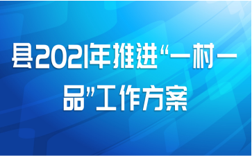 县2021年推进“一村一品”工作方案