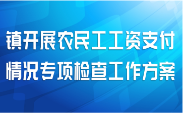 镇开展农民工工资支付情况专项检查工作方案