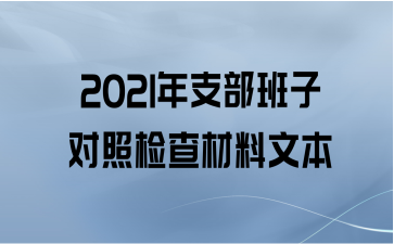 2021年支部班子对照检查材料文本