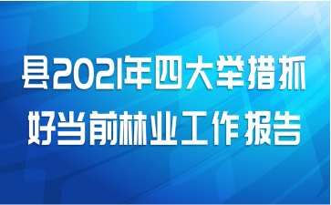 县2021年四大举措抓好当前林业工作报告