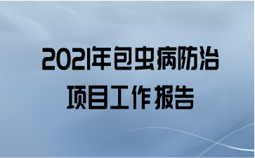 2021没Ŀ