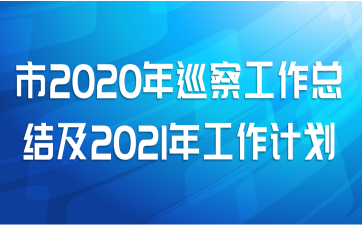 市2020年巡察工作总结及2021年工作计划