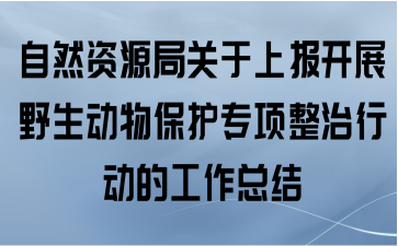 自然资源局关于上报开展野生动物保护专项整治行动的工作总结