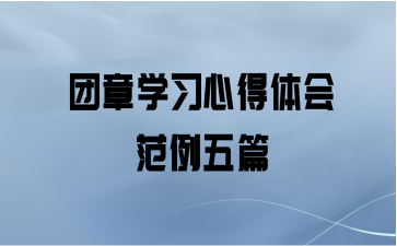 团章学习心得体会范例五篇