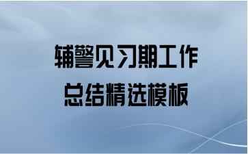 辅警见习期工作总结精选模板