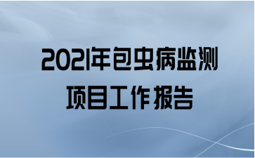 2021没Ŀ