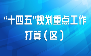 “十四五”规划重点工作打算（区）
