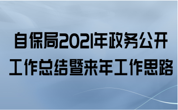 自保局2021年政务公开工作总结暨来年工作思路