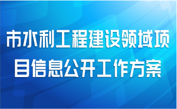市水利工程建设领域项目信息公开工作方案