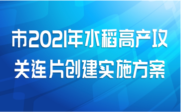 市2021年水稻高产攻关连片创建实施方案