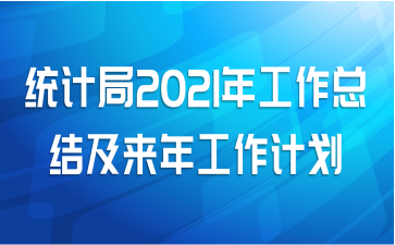 统计局2021年工作总结及来年工作计划