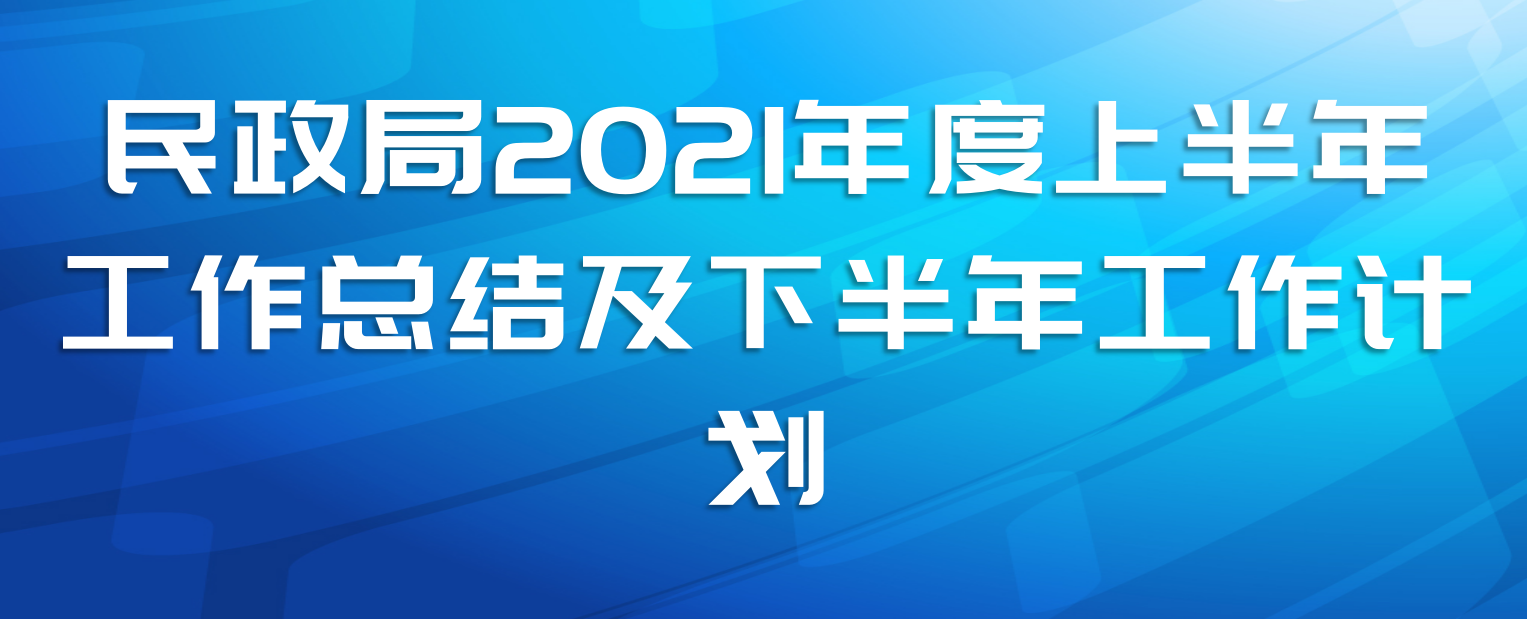 民政局2021年度上半年工作总结及下半年工作计划