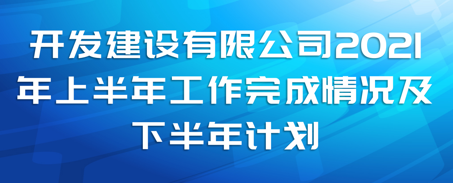 开发建设有限公司2021年上半年工作完成情况及下半年计划
