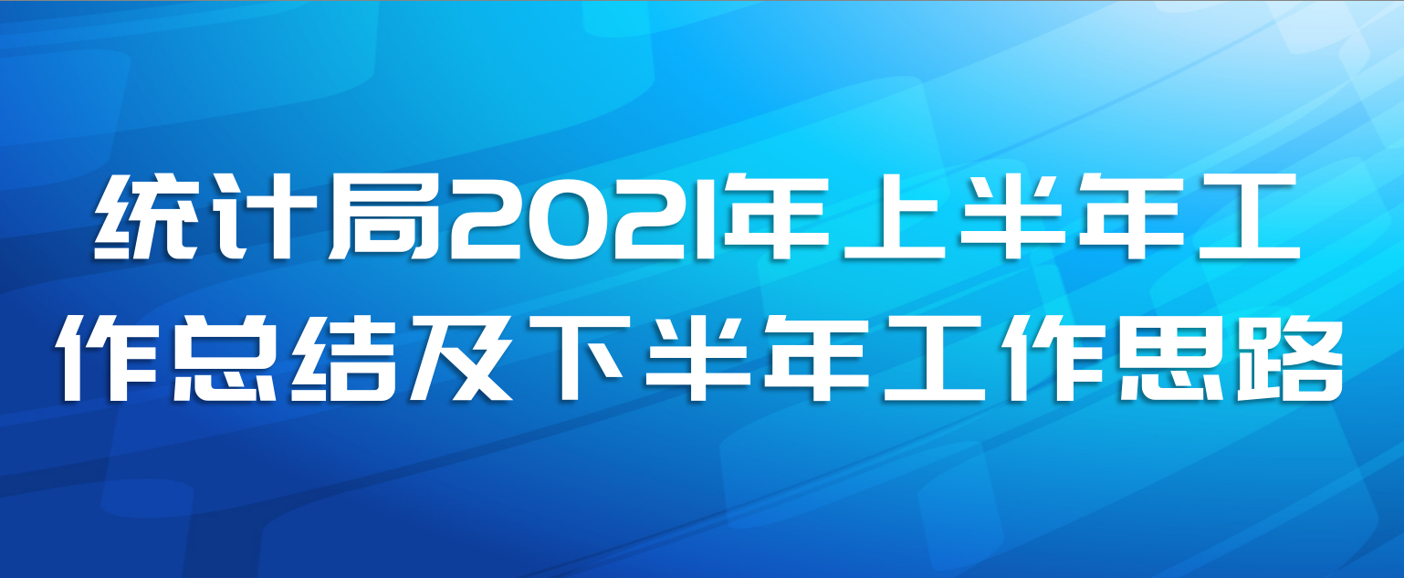 统计局2021年上半年工作总结及下半年工作思路