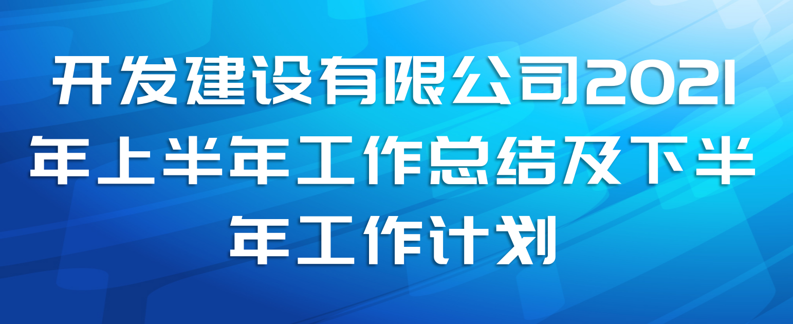 开发建设有限公司2021年上半年工作总结及下半年工作计划