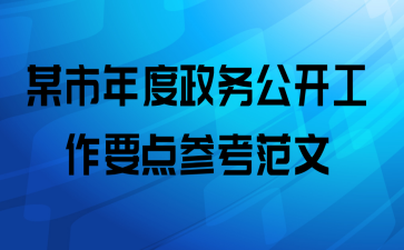 某市年度政务公开工作要点参考范文
