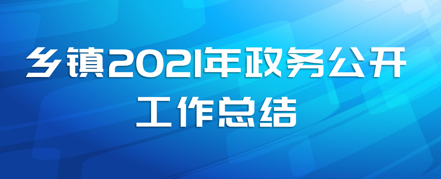 乡镇2021年政务公开工作总结