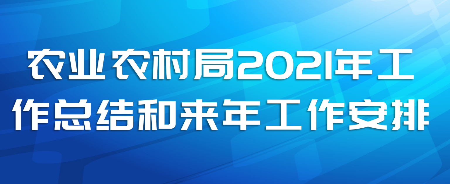 ũҵũ2021깤ܽ깤