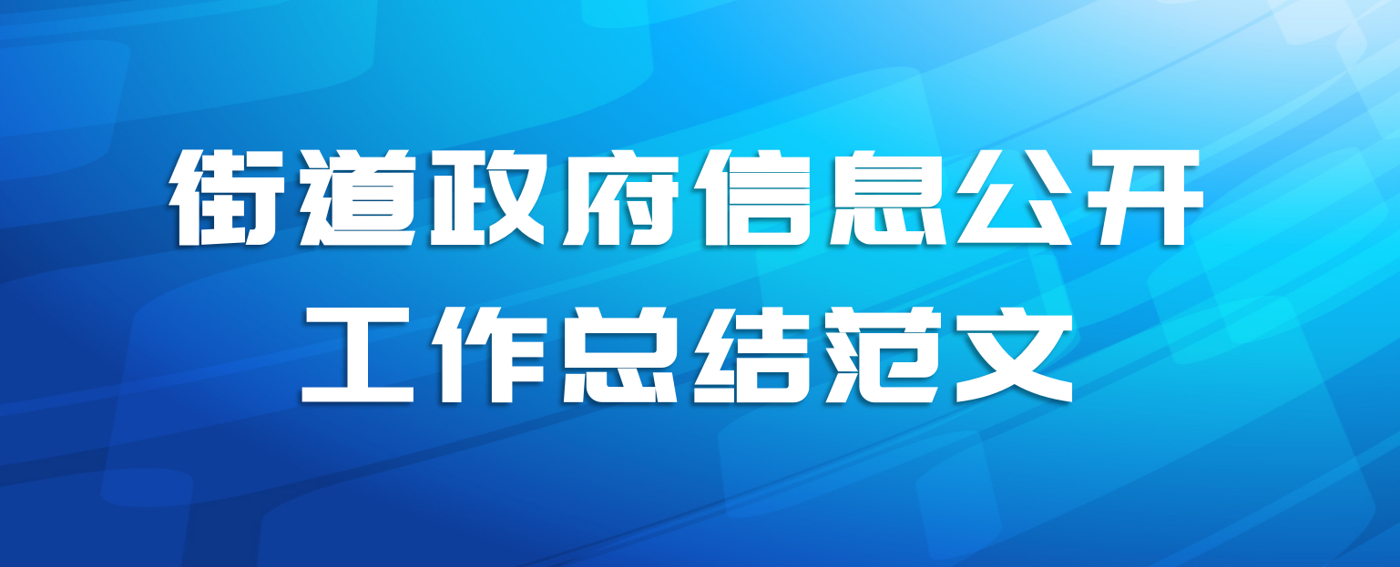 街道政府信息公开工作总结范文