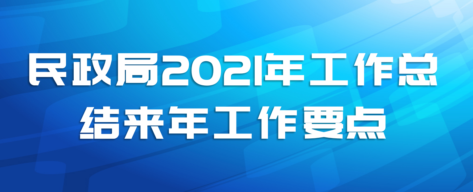 民政局2021年工作总结来年工作要点