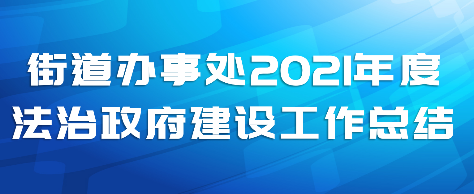 街道办事处2021年度法治政府建设工作总结