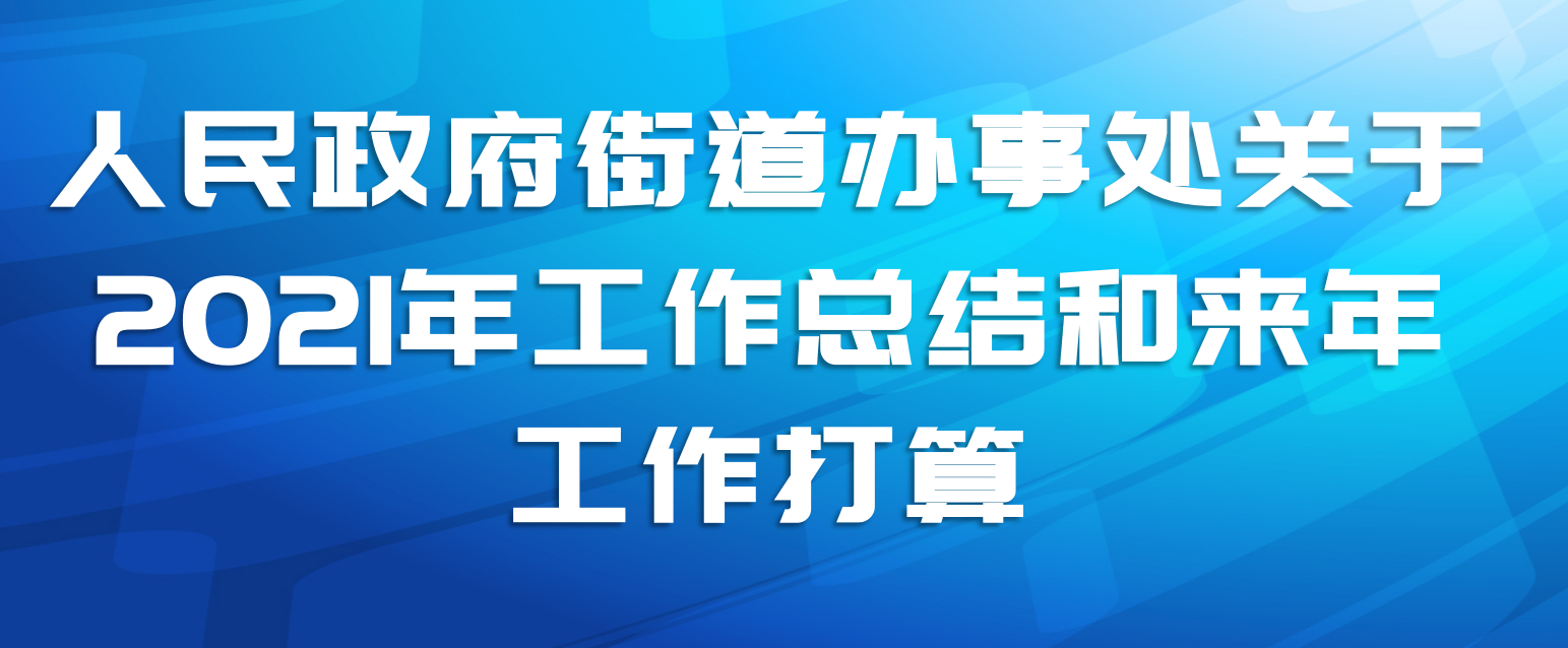 人民政府街道办事处关于2021年工作总结和来年工作打算