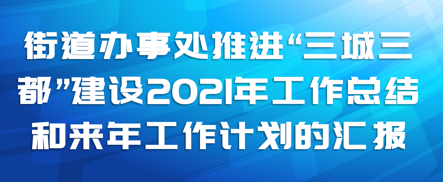 街道办事处推进“三城三都”建设2021年工作总结和来年工作计划的汇报