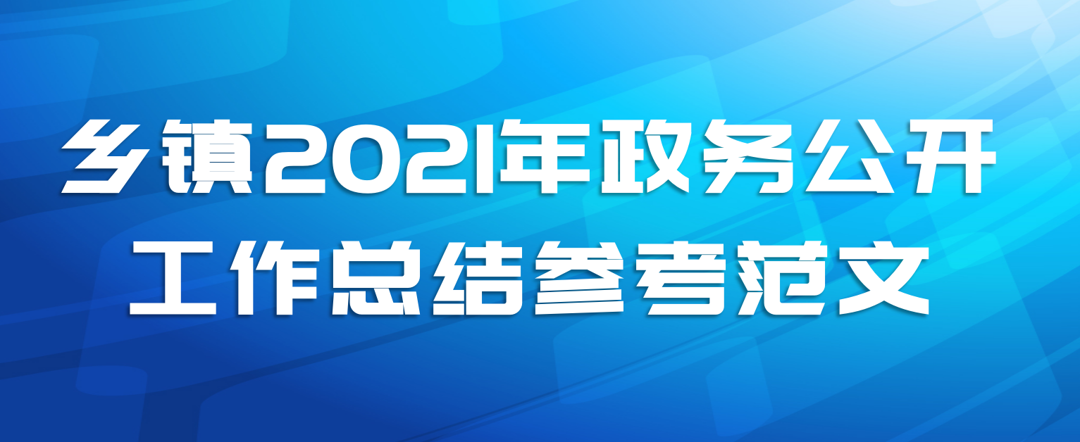 乡镇2021年政务公开工作总结参考范文