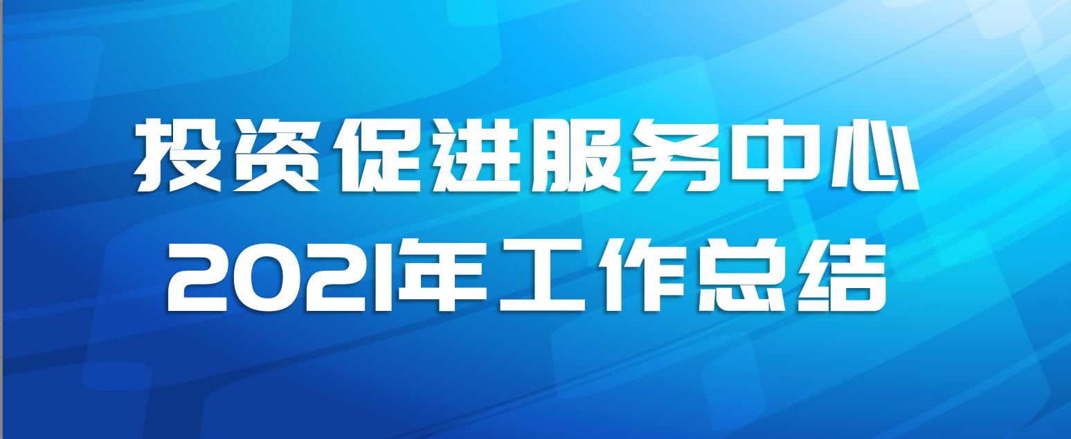 投资促进服务中心2021年工作总结
