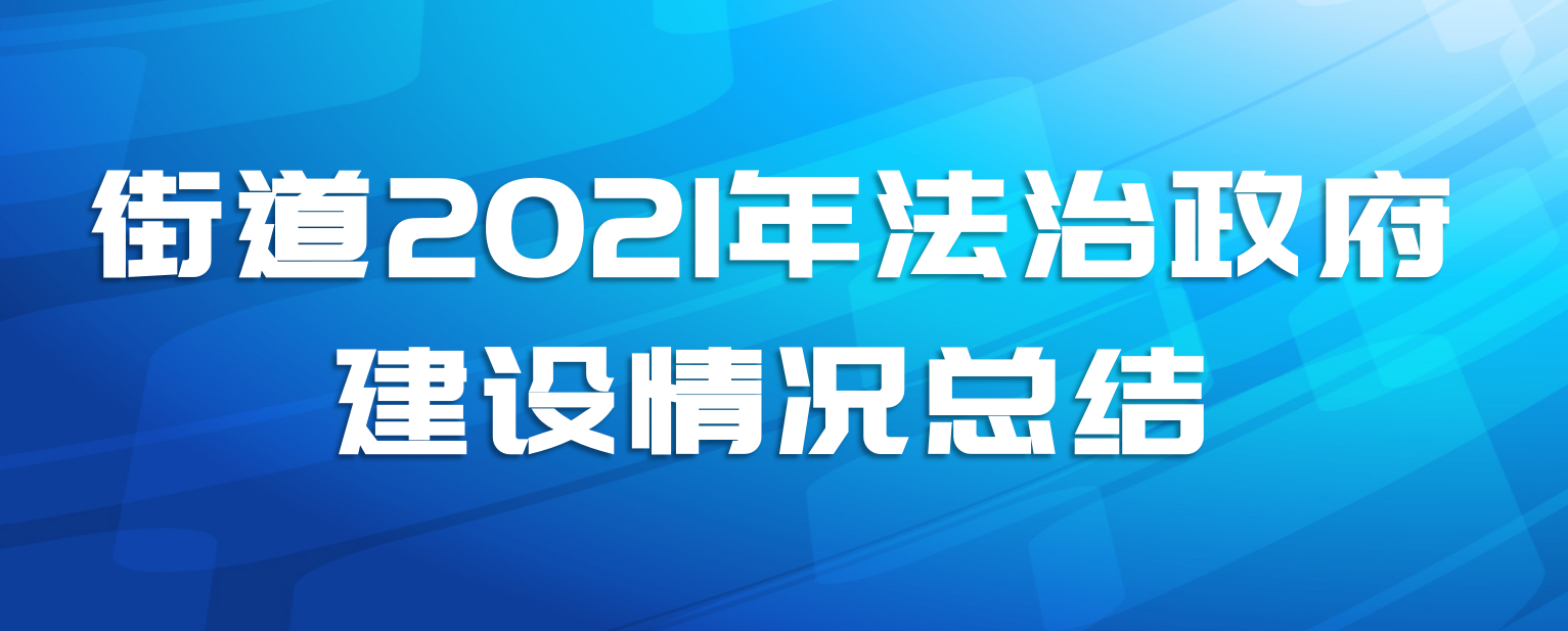 街道2021年法治政府建设情况总结