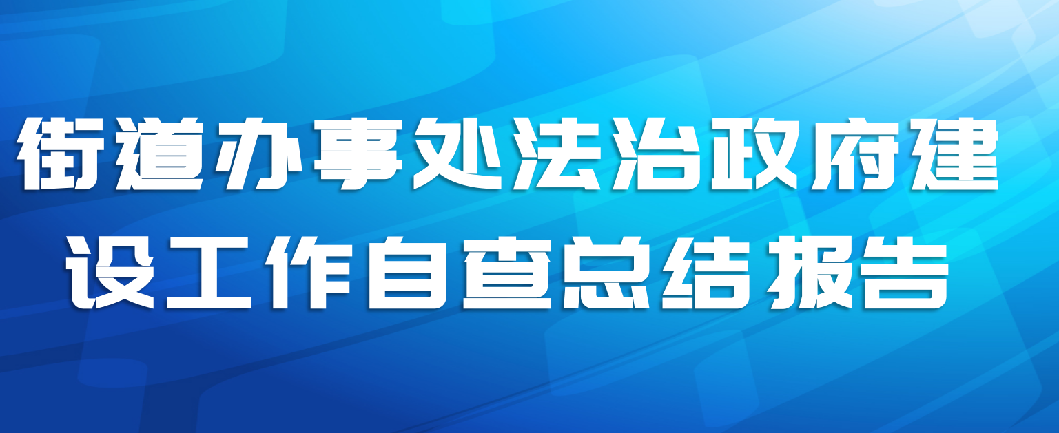 街道办事处法治政府建设工作自查总结报告