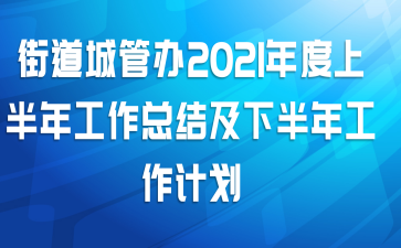 街道城管办2021年度上半年工作总结及下半年工作计划