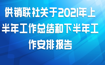 供销联社关于2021年上半年工作总结和下半年工作安排报告