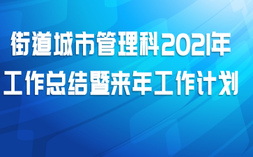 街道城市管理科2021年工作总结暨来年工作计划
