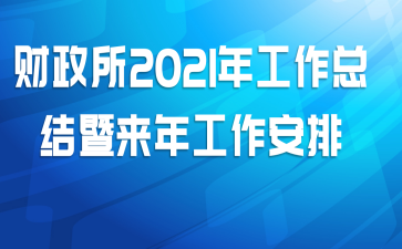 财政所2021年工作总结暨来年工作安排
