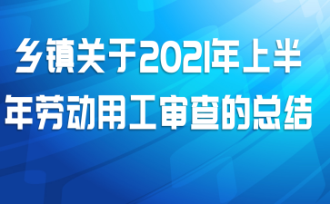 乡镇关于2021年上半年劳动用工审查的总结