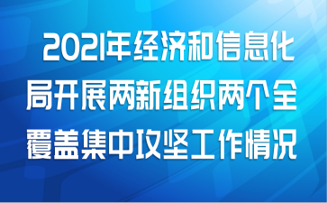 2021年经济和信息化局开展两新组织两个全覆盖集中攻坚工作情况的报告