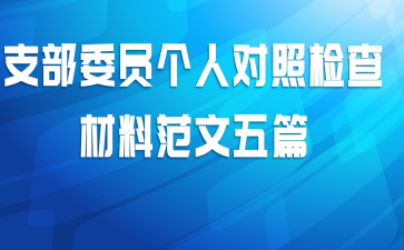 支部委员个人对照检查材料范文五篇