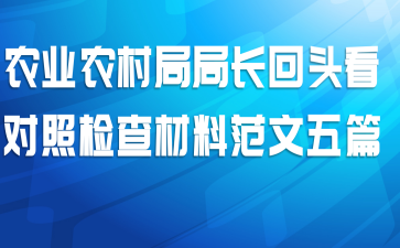 农业农村局局长回头看对照检查材料范文五篇