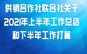 供销合作社联合社关于2021年上半年工作总结和下半年工作打算