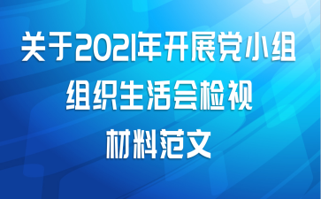 关于2021年开展党小组组织生活会检视材料范文