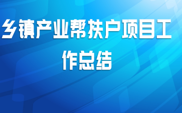 乡镇产业帮扶户项目工作总结