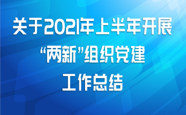 关于2021年上半年开展“两新”组织党建工作总结