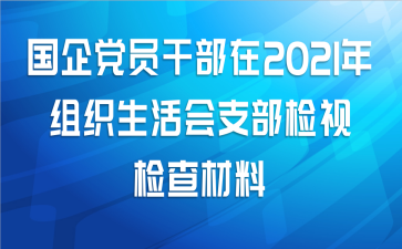 国企党员干部在2021年组织生活会支部检视检查材料