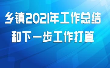 乡镇2021年工作总结和下一步工作打算
