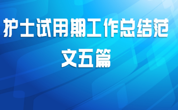 护士试用期工作总结范文五篇