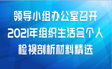 领导小组办公室召开2021年组织生活会个人检视剖析材料精选
