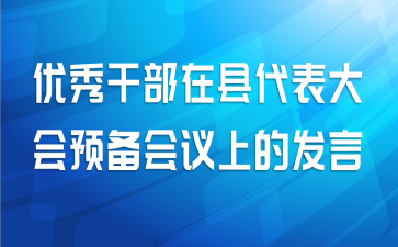 优秀干部在县代表大会预备会议上的发言