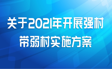 2021꿪չǿʵʩ